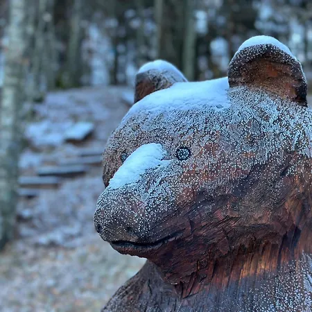 בית נופש Kuca Za Odmor Cozy Bear