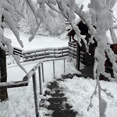 Vikendica Kuca Za Odmor Cozy Bear Brestova Draga